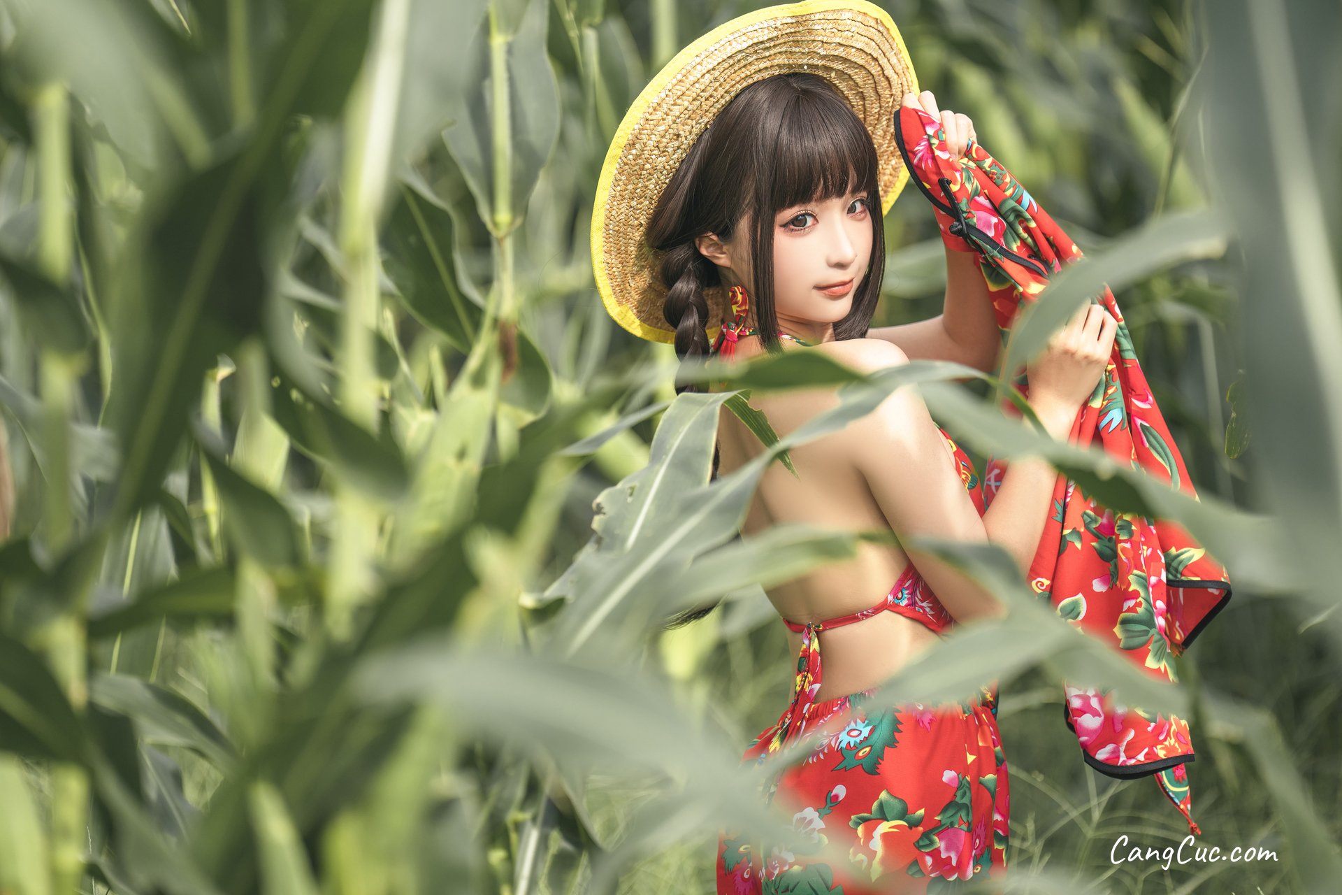 Coser@蠢沫沫 (chunmomo): The Story of Cornfield ảnh 3